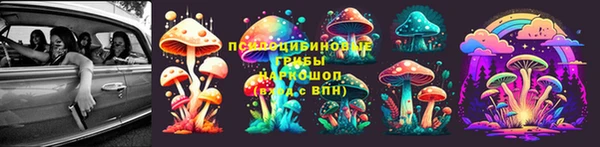 твердый Балахна
